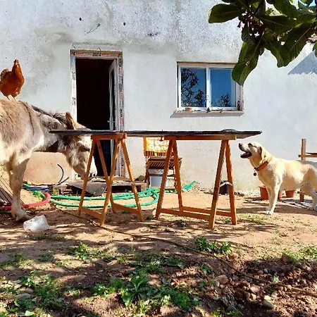 Casa Dos Artistas Σπίτι διακοπών Caldas Da Rainha